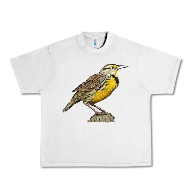 Western Meadowlark Urban Heavy Tee by LillyAllenDesigns | Teevron