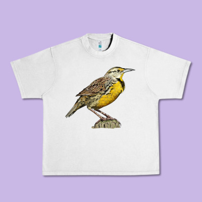 Western Meadowlark Urban Heavy Tee Designed By Lillyallendesigns