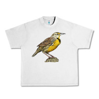 Lunar Rock Western Meadowlark Urban Heavy Tee - LillyAllenDesigns