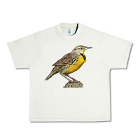 Pistachio Western Meadowlark Urban Heavy Tee - LillyAllenDesigns