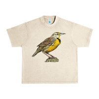 Sandshell Western Meadowlark Urban Heavy Tee - LillyAllenDesigns