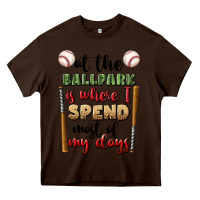 Chocolate Brown at the ballpark is where i spend most my days Heavy Core Tee - BundleAndBundleShop