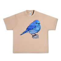 Burro Mountain Bluebird Urban Heavy Tee - LillyAllenDesigns
