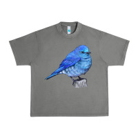 Tornado Mountain Bluebird Urban Heavy Tee - LillyAllenDesigns