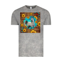 Cloud Rock arabian horse Vintage Tee - LillyAllenDesigns