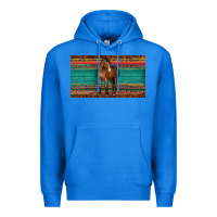 True Royal western horse serape tooled leather leopard  sippy cup Premium Hoodie - BarkalooDesign