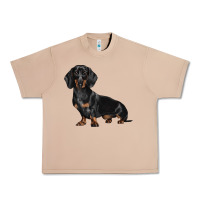 Burro Dachshund Dog Illustrations Urban Heavy Tee - LillyAllenDesigns