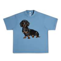 Pebble Blue Dachshund Dog Illustrations Urban Heavy Tee - LillyAllenDesigns