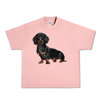 Salmon Dachshund Dog Illustrations Urban Heavy Tee - LillyAllenDesigns