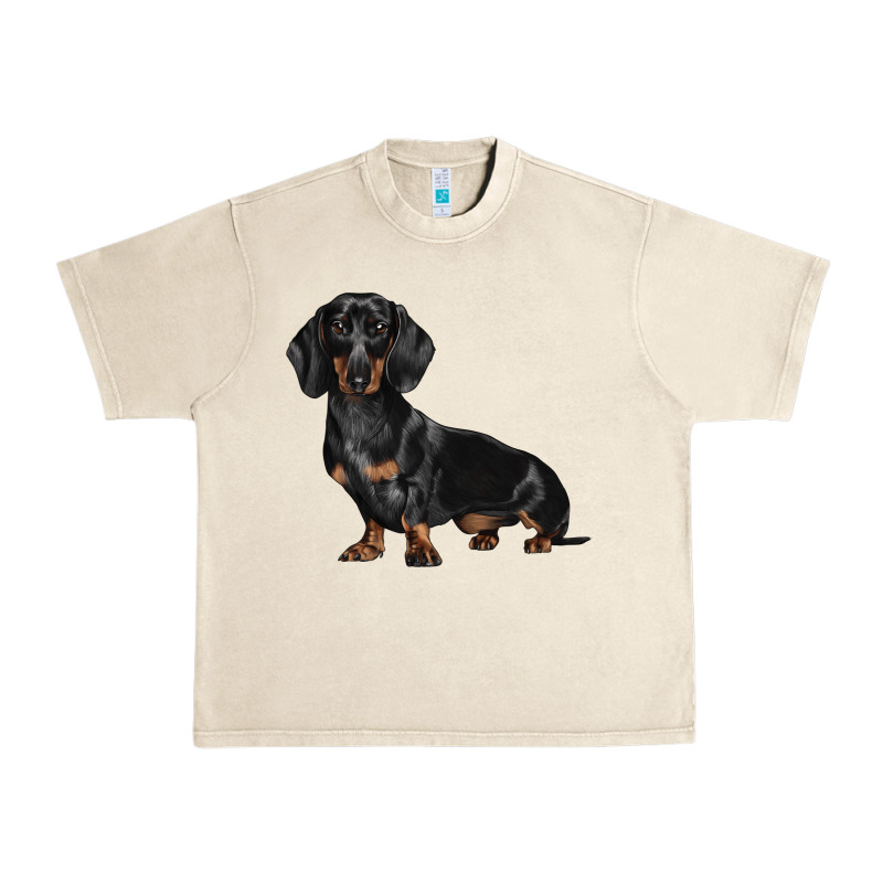 Dachshund Dog Illustrations Urban Heavy Tee by LillyAllenDesigns | Teevron