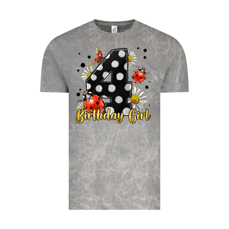 Ladybug Birthday Girl Age 4 Vintage Tee by LillyAllenDesigns | Teevron