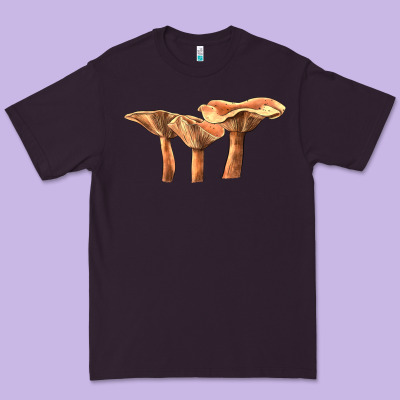 Lactarius Rufus Mushroom Illustrations Premium Tee Designed By Lillyallendesigns
