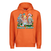 Carrot happy easter gnome Premium Hoodie - BarkalooDesign
