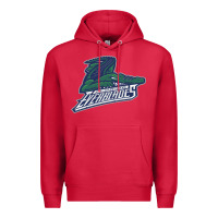 Cardinal florida everblades Premium Hoodie - DesigneFamous
