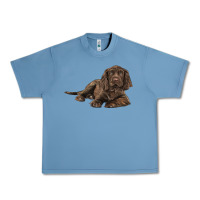 Pebble Blue Sussex Spaniels llustrations Urban Heavy Tee - LillyAllenDesigns