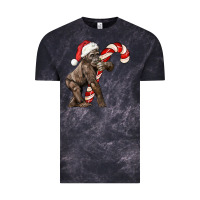 Cloud Black Christmas Candy Cane Baby Gorilla Vintage Tee - LillyAllenDesigns