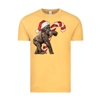 Christmas Candy Cane Baby Gorilla Vintage Tee | Teevron
