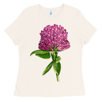 Bone Red Clover Illustrations Ladies Tee - LillyAllenDesigns