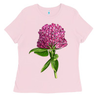 Bubblegum Pink Red Clover Illustrations Ladies Tee - LillyAllenDesigns
