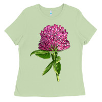 Matcha Red Clover Illustrations Ladies Tee - LillyAllenDesigns