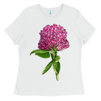 White Red Clover Illustrations Ladies Tee - LillyAllenDesigns