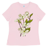 American Dogwood Flower Illustrations Ladies Tee | Teevron