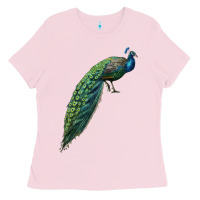 Bubblegum Pink Peacock Ladies Tee - LillyAllenDesigns