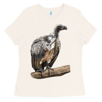 Bone Vulture Bird Ladies Tee - LillyAllenDesigns