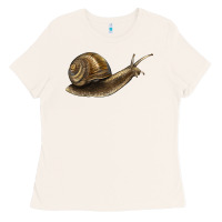 Bone snail Ladies Tee - LillyAllenDesigns