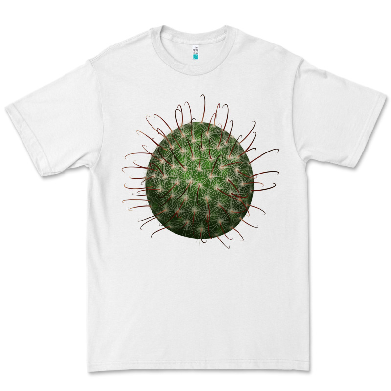 Arizona Fishhook Cactus Premium Tee by LillyAllenDesigns | Teevron
