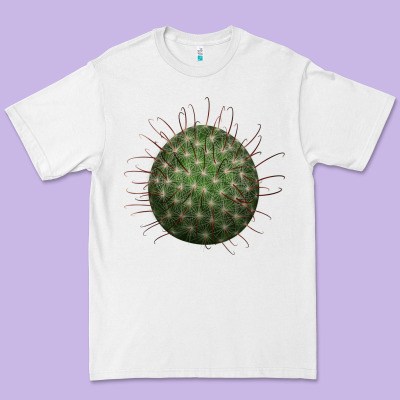 Arizona Fishhook Cactus Premium Tee Designed By Lillyallendesigns