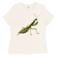 Bone mantis Ladies Tee - LillyAllenDesigns