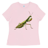 Bubblegum Pink mantis Ladies Tee - LillyAllenDesigns