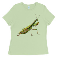 Matcha mantis Ladies Tee - LillyAllenDesigns