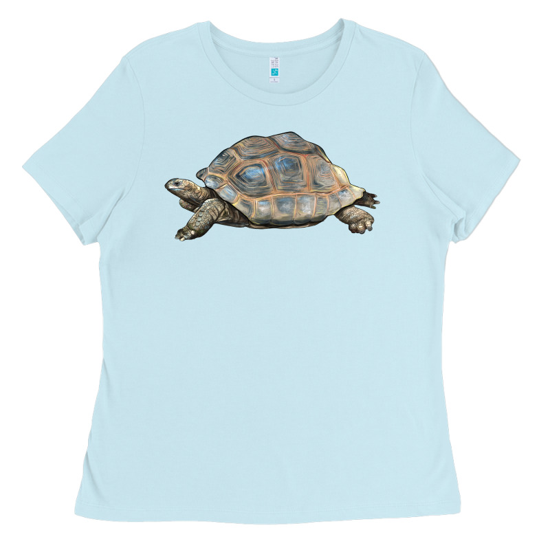 Tortoise Illustrations Ladies Tee by LillyAllenDesigns | Teevron