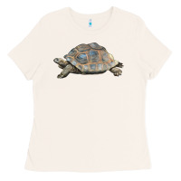 Bone Tortoise Illustrations Ladies Tee - LillyAllenDesigns