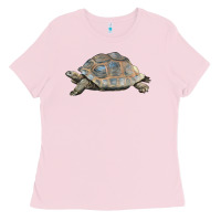 Bubblegum Pink Tortoise Illustrations Ladies Tee - LillyAllenDesigns