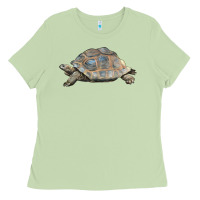 Matcha Tortoise Illustrations Ladies Tee - LillyAllenDesigns