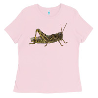 Bubblegum Pink Grasshopper Ladies Tee - LillyAllenDesigns