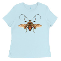 Baby Blue acrocinus beetle with wings Ladies Tee - LillyAllenDesigns