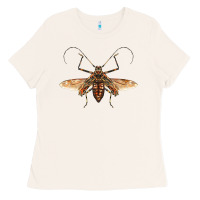 Bone acrocinus beetle with wings Ladies Tee - LillyAllenDesigns
