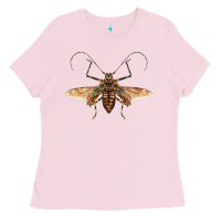 Bubblegum Pink acrocinus beetle with wings Ladies Tee - LillyAllenDesigns