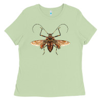 Matcha acrocinus beetle with wings Ladies Tee - LillyAllenDesigns