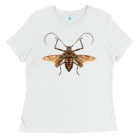 White acrocinus beetle with wings Ladies Tee - LillyAllenDesigns