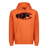Carrot claflin, education sport Premium Hoodie - linhVisuals