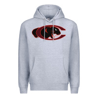 Heather Grey claflin, education sport Premium Hoodie - linhVisuals
