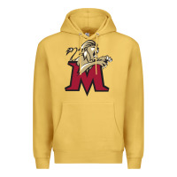 Antique Gold lions, molloy college Premium Hoodie - linhVisuals