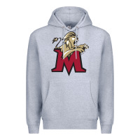 Heather Grey lions, molloy college Premium Hoodie - linhVisuals