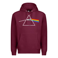 The Dark Side Premium Hoodie | Teevron
