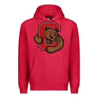 Cardinal The cornell big red Premium Hoodie - linhVisuals